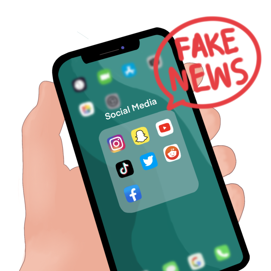The risk of misinformation on social media