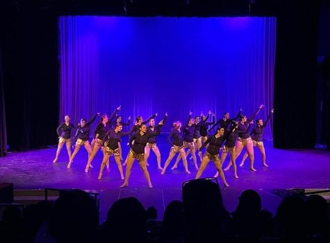 Fremd Orchesis perform exciting final show of the season