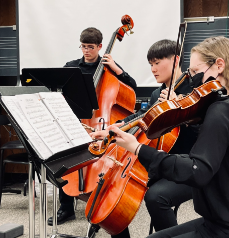 Fremd Orchestra celebrates yet another successful Chamber Festival